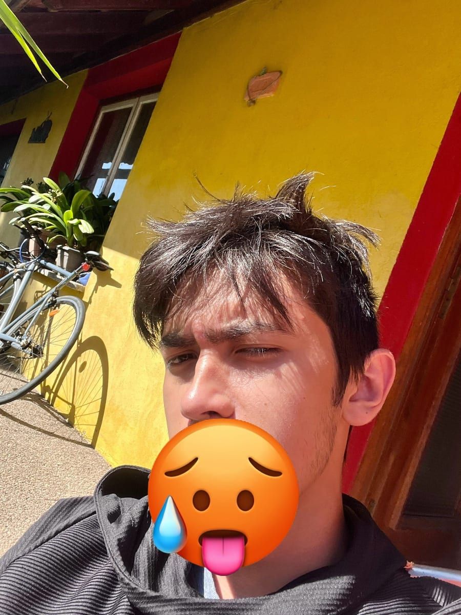 Profil de Nicolai