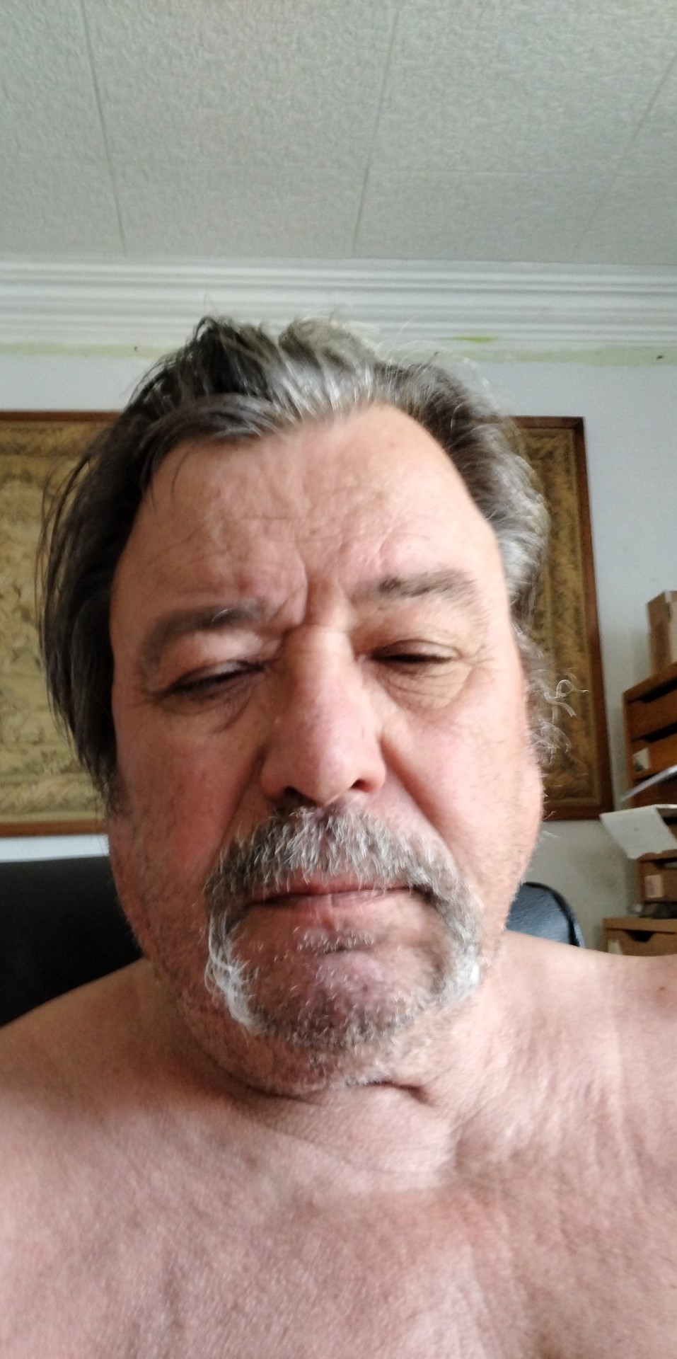 Profil de Sajed